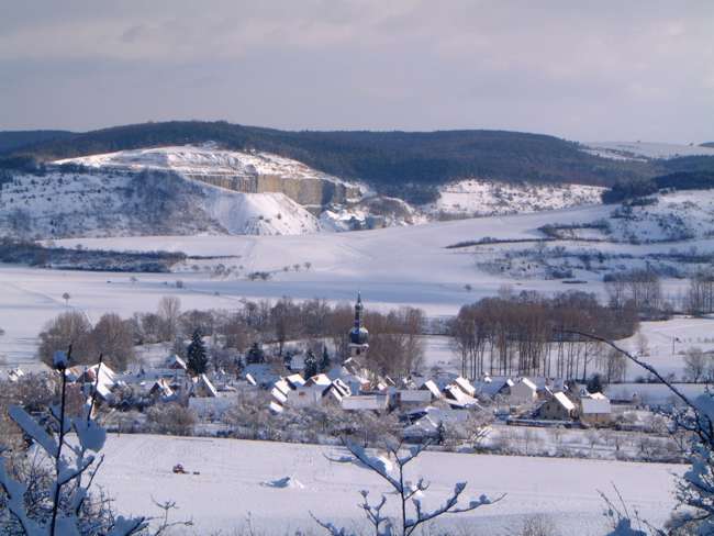 Hier gehts weiter zur Homepage